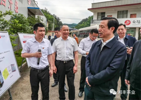 湖南省委副书记、省长许达哲视察乐鱼网页版-乐鱼（中国）官方桑植白茶公司