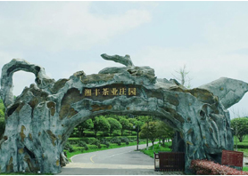 乐鱼网页版-乐鱼（中国）官方茶业获评湖南农业优势特色产业30强企业