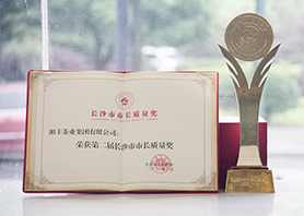 厉害了！市长亲自颁奖，乐鱼网页版-乐鱼（中国）官方荣获长沙市最高质量荣誉！
