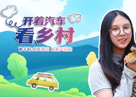 开着汽车看乡村 |乐鱼网页版-乐鱼（中国）官方村：虎跃茶山 展振兴活力