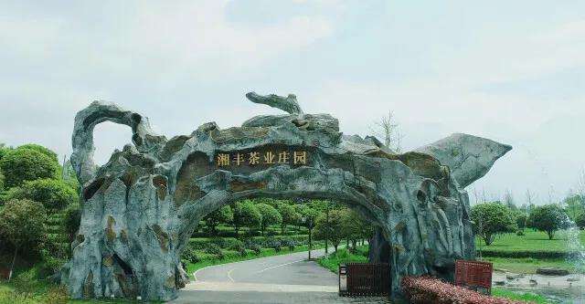 乐鱼网页版-乐鱼（中国）官方茶业庄园.jpg