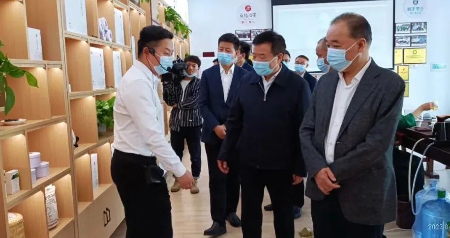 湖南省副省长陈飞带队考察调研乐鱼网页版-乐鱼（中国）官方桑植白茶公司