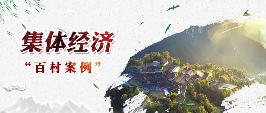 乐鱼网页版-乐鱼（中国）官方村“四大产业”撬动集体经济高质量发展