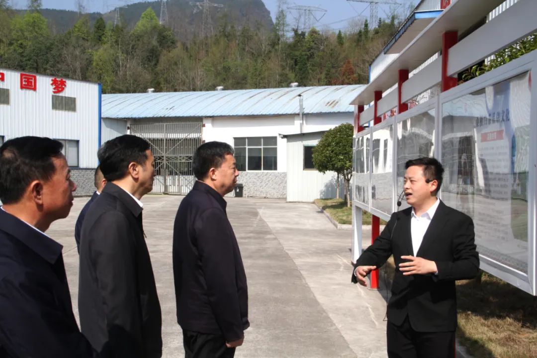 省政协党组书记、主席毛万春调研湖南乐鱼网页版-乐鱼（中国）官方桑植白茶有限公司
