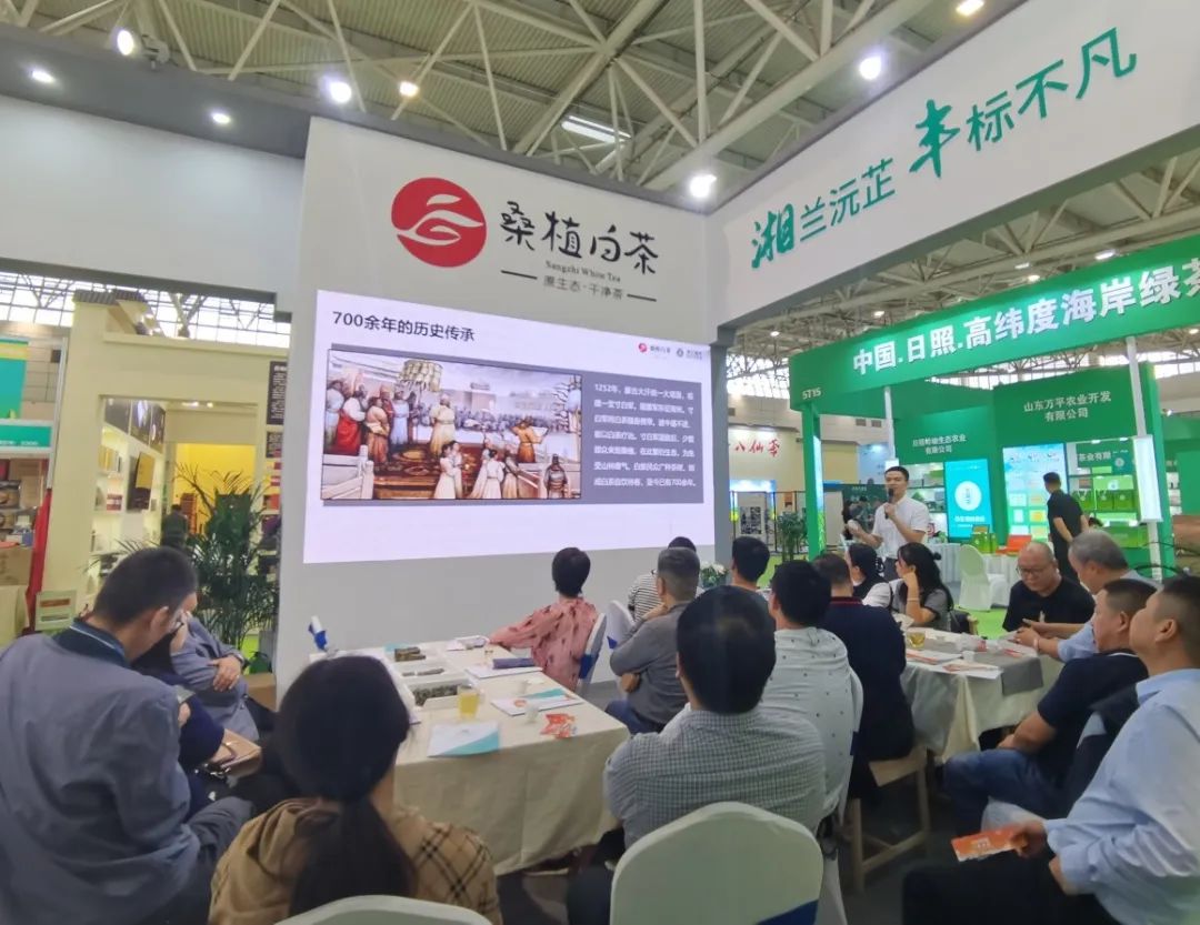 斩获双项金奖！乐鱼网页版-乐鱼（中国）官方桑植白茶闪耀第十届中国茶叶博览会