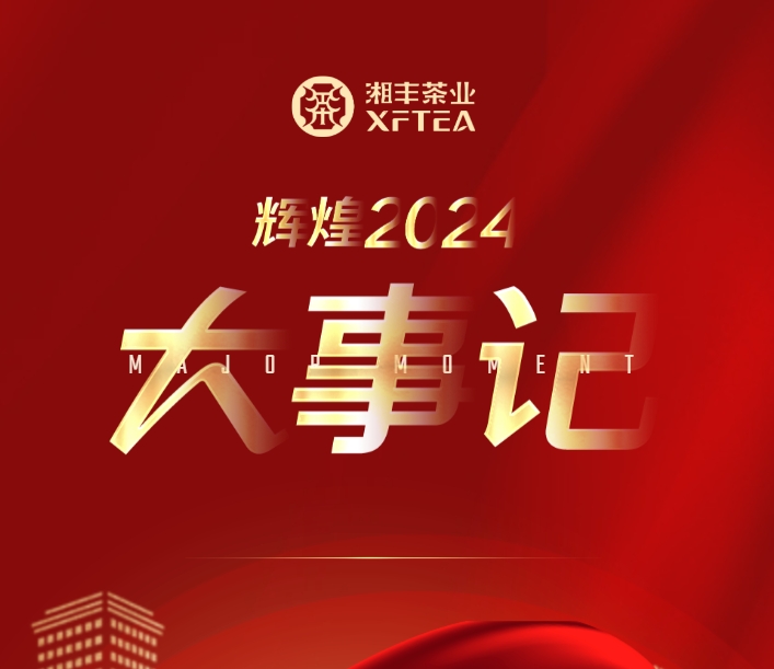 辉煌2024 | 乐鱼网页版-乐鱼（中国）官方
年度大事记
