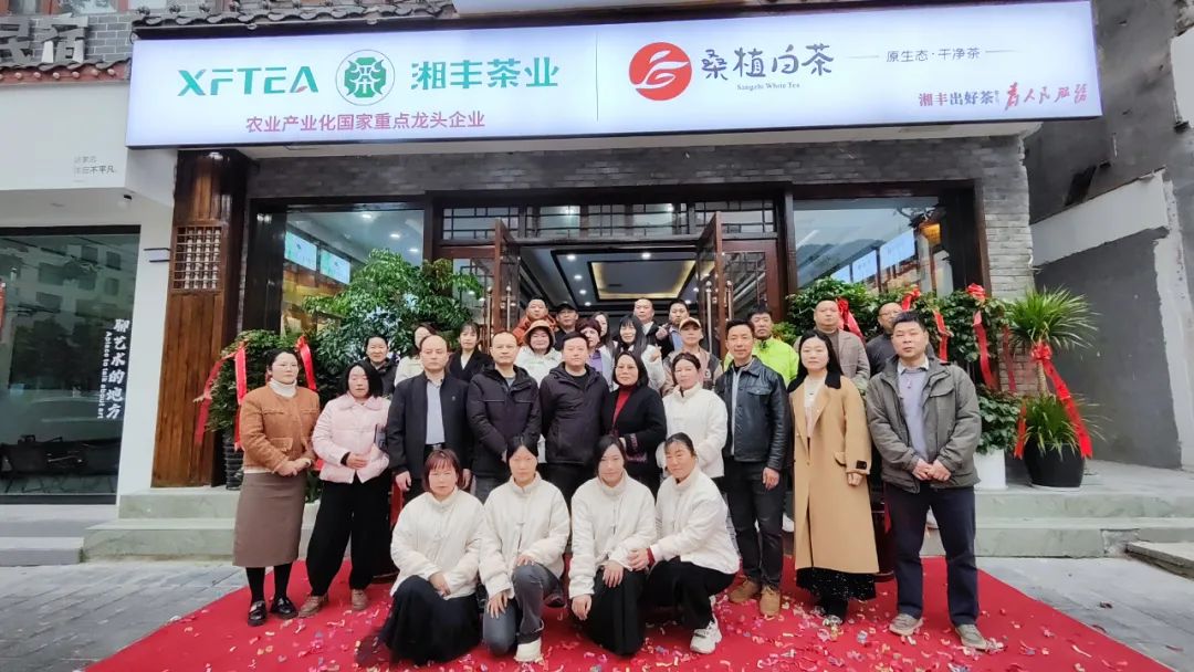 乐鱼网页版-乐鱼（中国）官方茶业·桑植白茶张家界武陵源旗舰店盛大开业！